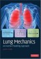 Lung Mechanics: An Inverse Modeling Approach