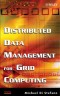 Distributed Data Management in Grid Environments