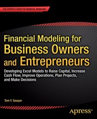 Financial Modeling for Business Owners and Entrepreneurs: Developing Excel Models to Raise Capital, Increase Cash Flow, Improve Operations, Plan Projects, and Make Decisions