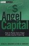 Angel Capital: How to Raise Early-Stage Private Equity Financing (Wiley Finance)