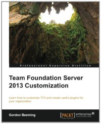 Team Foundation Server 2013 Customization