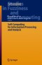 Soft Computing for Information Processing and Analysis (Studies in Fuzziness and Soft Computing)