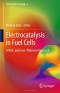 Electrocatalysis in Fuel Cells: A Non- and Low- Platinum Approach (Lecture Notes in Energy)